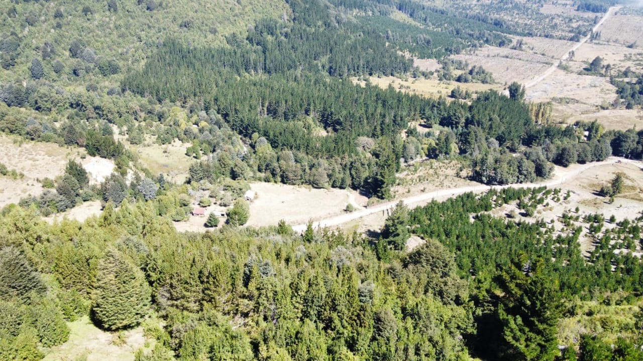 Hacienda Cunco Meli: Refugio con Plusvalía Natural en la Araucanía