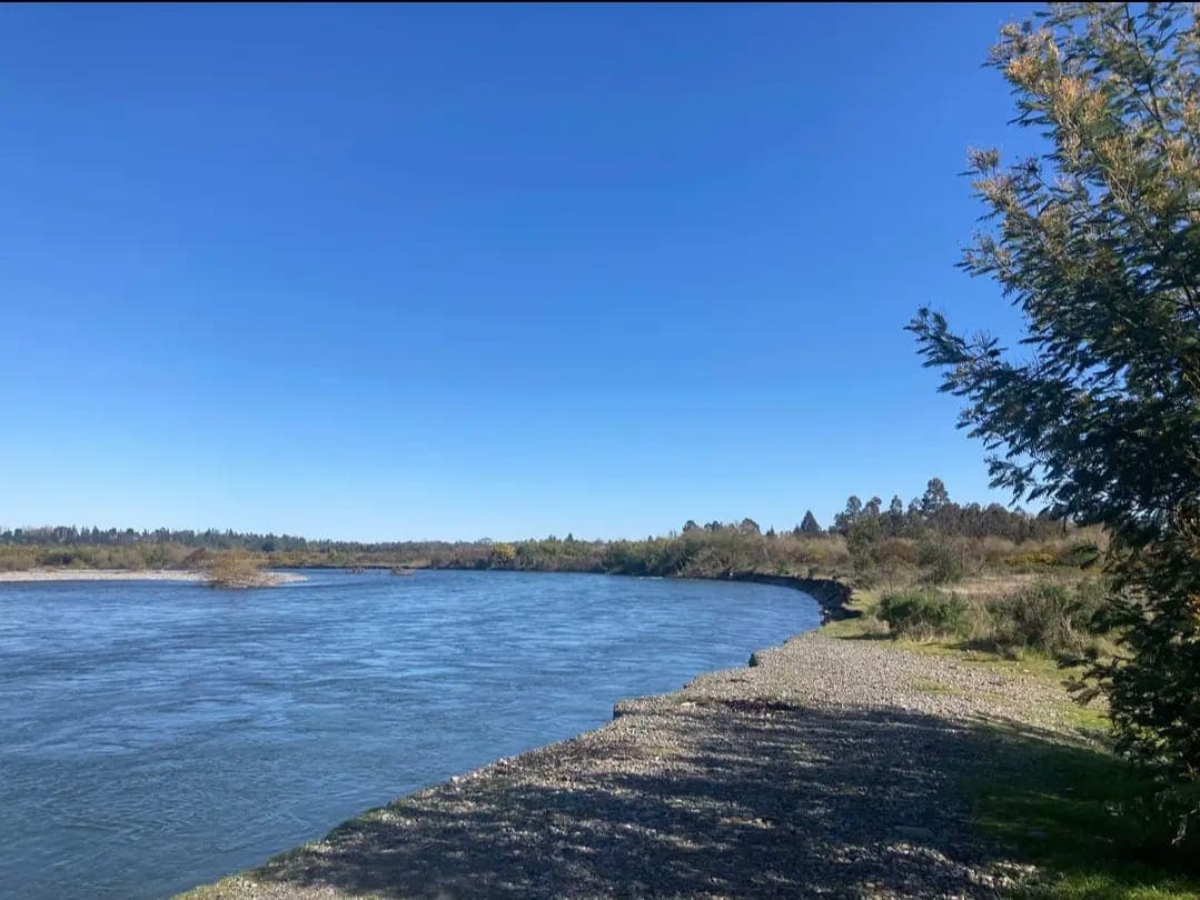 Terreno Industrial Pillanlelbún: 3,3 Hectáreas Estratégicas a Orilla de Río