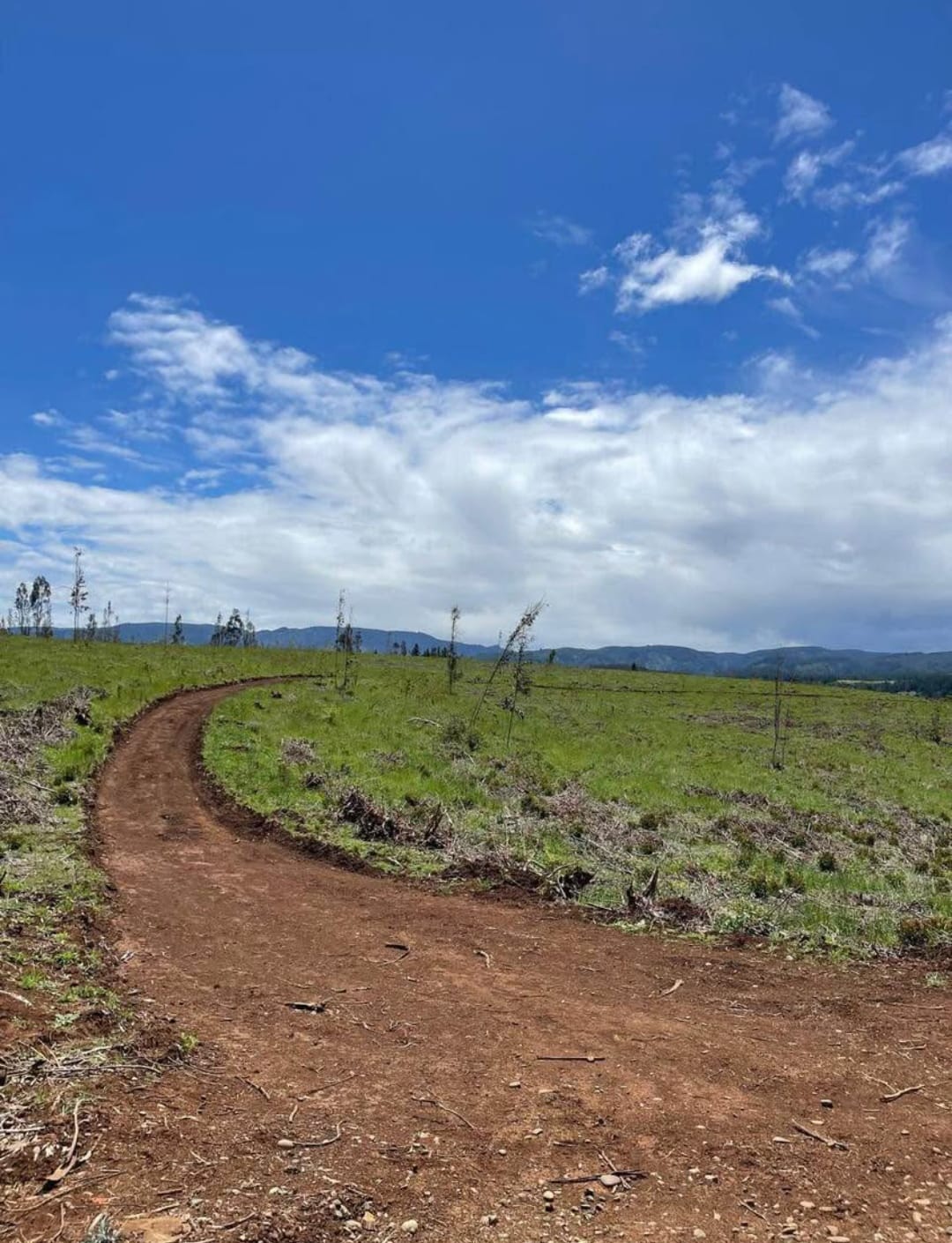 Campo Agrícola en Chol-Chol: 93 Hectáreas de Rentabilidad Segura - Imagen 5